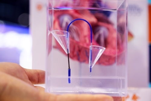 2023年憲法宣傳周 法治文化主題普法宣傳活動啟動，聚焦獸醫醫療器械領域