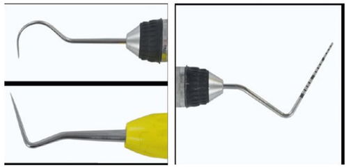 高清圖解獸醫(yī)牙科常用器械大全及使用注意事項(xiàng)